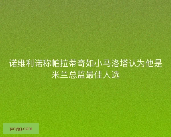 诺维利诺称帕拉蒂奇如小马洛塔认为他是米兰总监最佳人选
