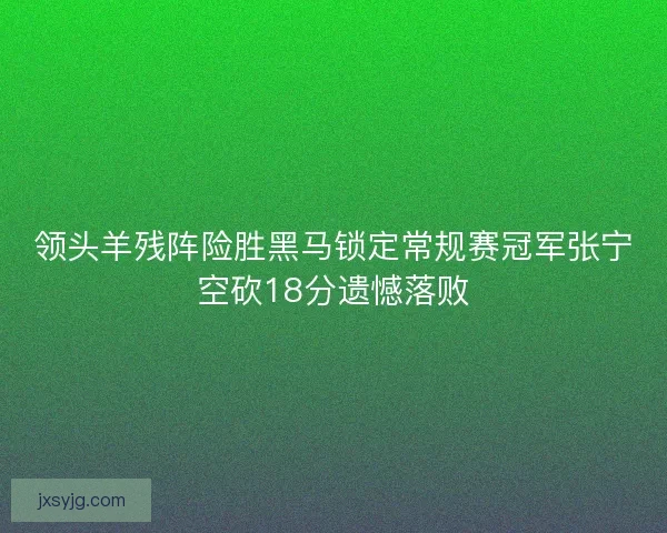 领头羊残阵险胜黑马锁定常规赛冠军张宁空砍18分遗憾落败