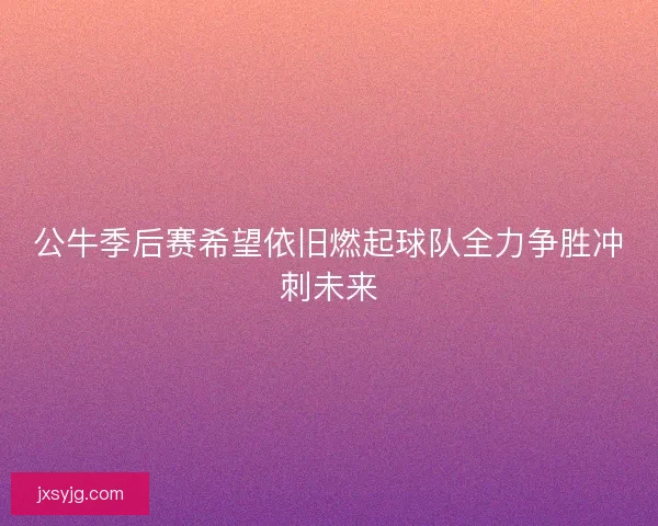 公牛季后赛希望依旧燃起球队全力争胜冲刺未来